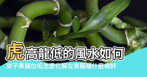 風水 左青龍|如何判別風水上常聽到的龍虎邊呢？現在就一次弄清楚。